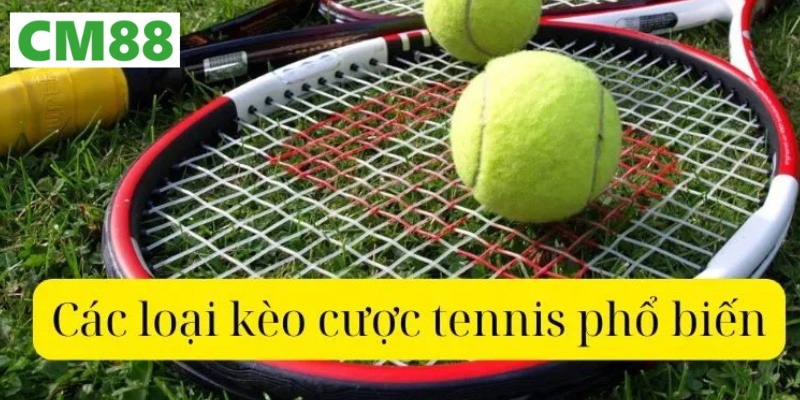Bí quyết chiến thắng khi chơi cá cược bóng tennis