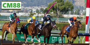 Cá Cược Đua Ngựa – Khám Phá Lịch Sử Và Sự Phát Triển