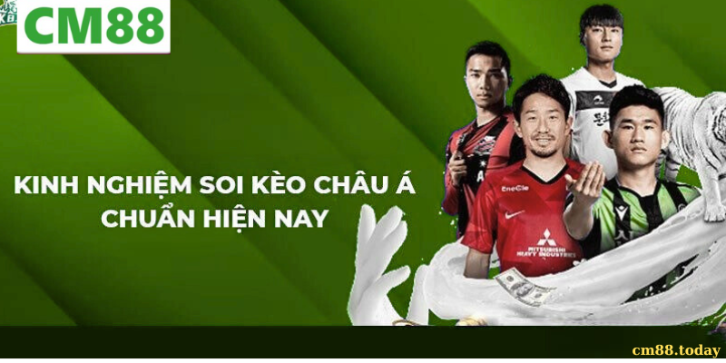 Các dạng kèo châu Á phổ biến nhất hiện nay