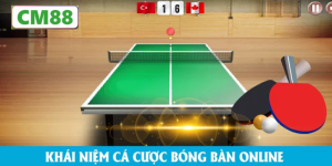 Các hình thức cá độ bóng bàn phổ biến