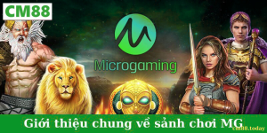 Giới thiệu chung về Microgaming